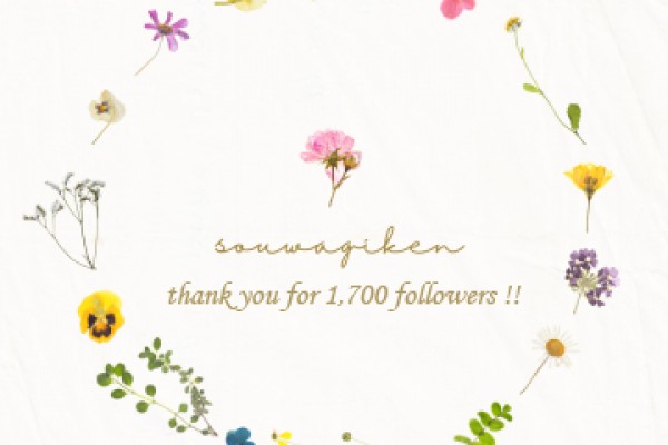 Thank you for 1.700 followers‼